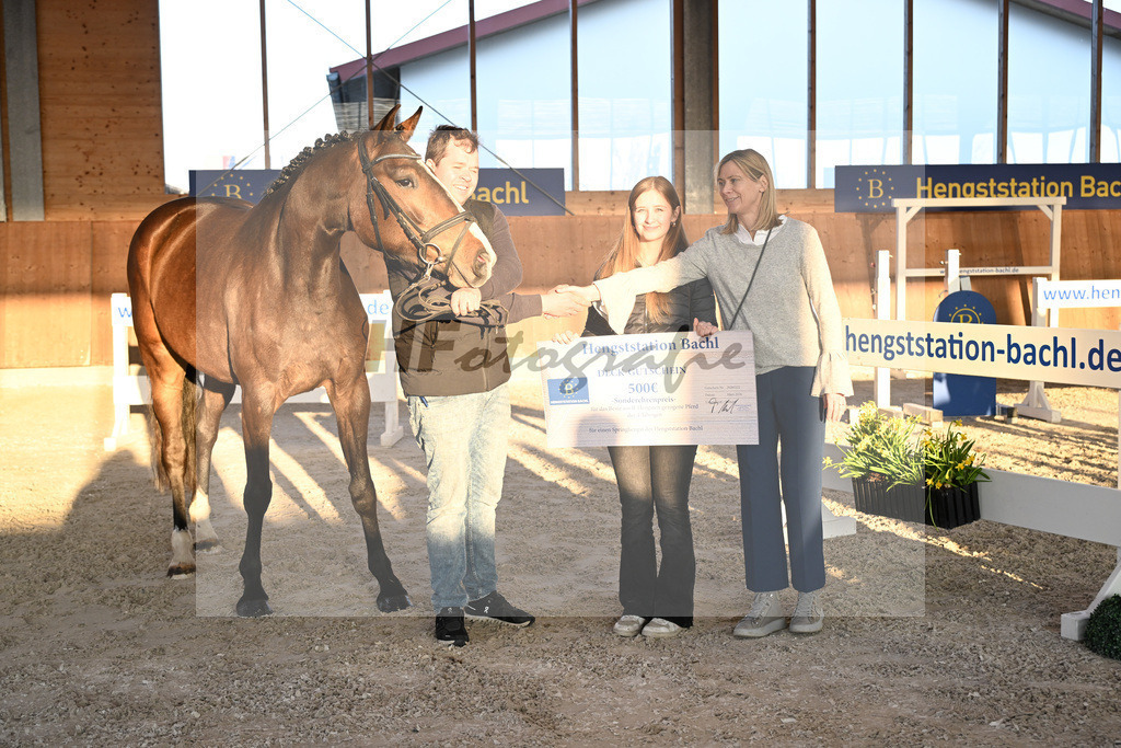 Kat-Nr. 8 Carathella v. Limbothello B_Hoffmeister_14265246 | hf-fotografie - Realisiert mit Pictrs.com