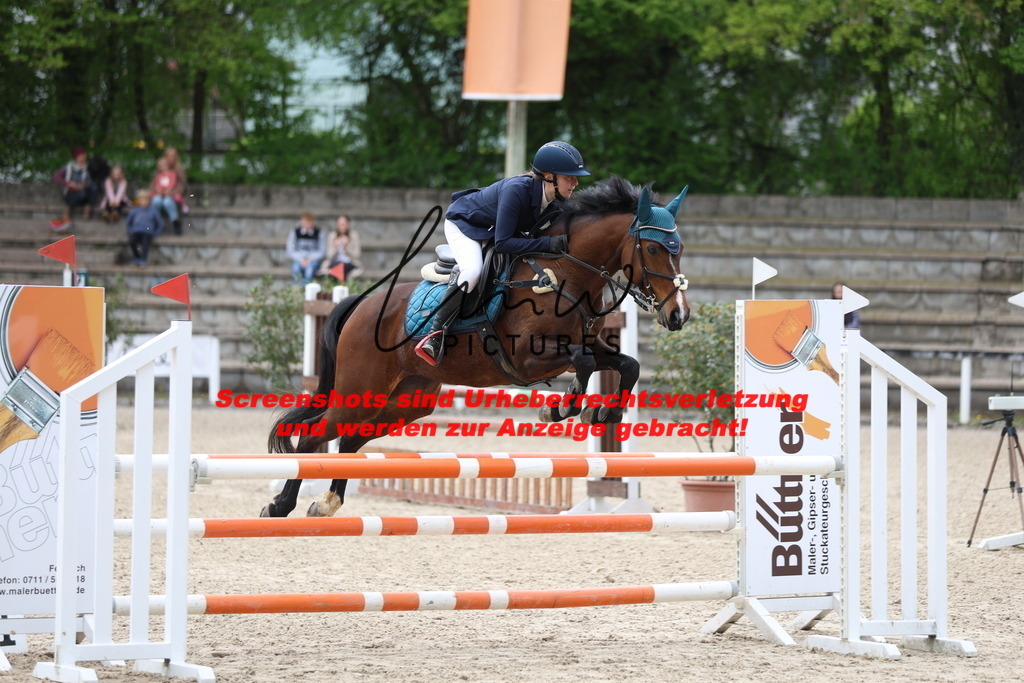 A40A2464 | lmwpictures - Realisiert mit Pictrs.com