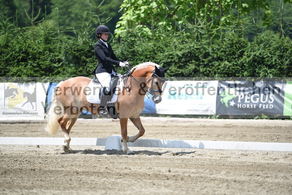 DSC_0353 | equestrian-live-com