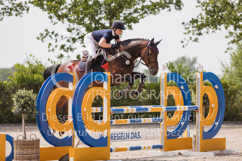 230616_Lemwerder_Springpf-L2-681 | Deine schönsten Turniermomente als professionelle Fotos! Entdecke hochwertige Pferdesport-Fotografie im Online-Shop. Jetzt Fotos finden & bestellen!