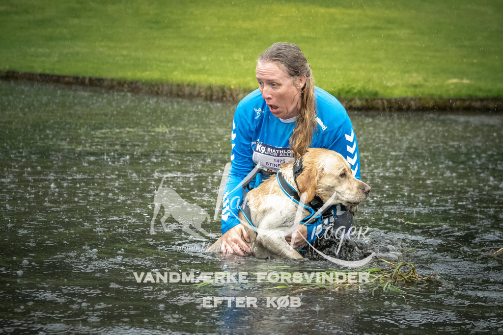 1323_ZZ97986 | kk-dogfotos