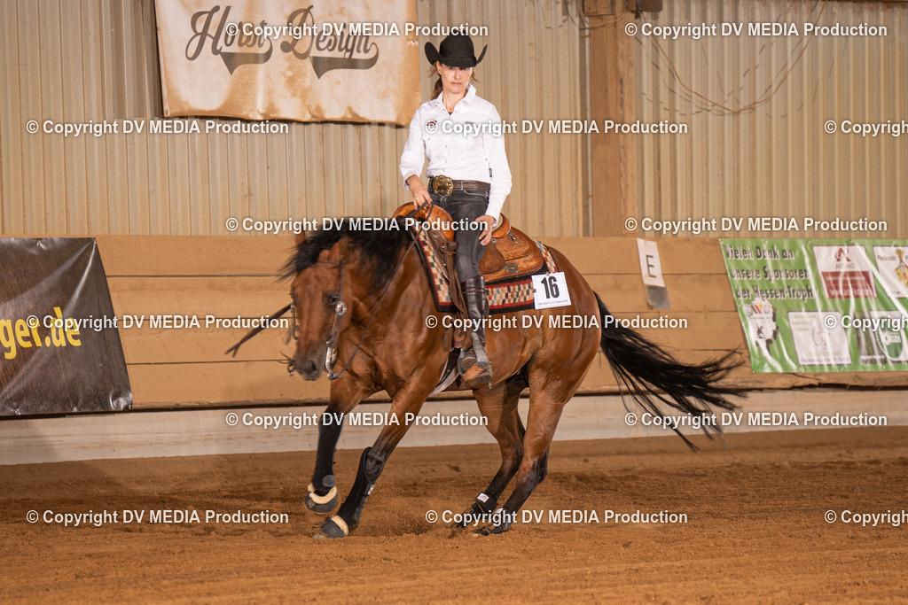 NID01205 | dv-media-shop - Realisiert mit Pictrs.com