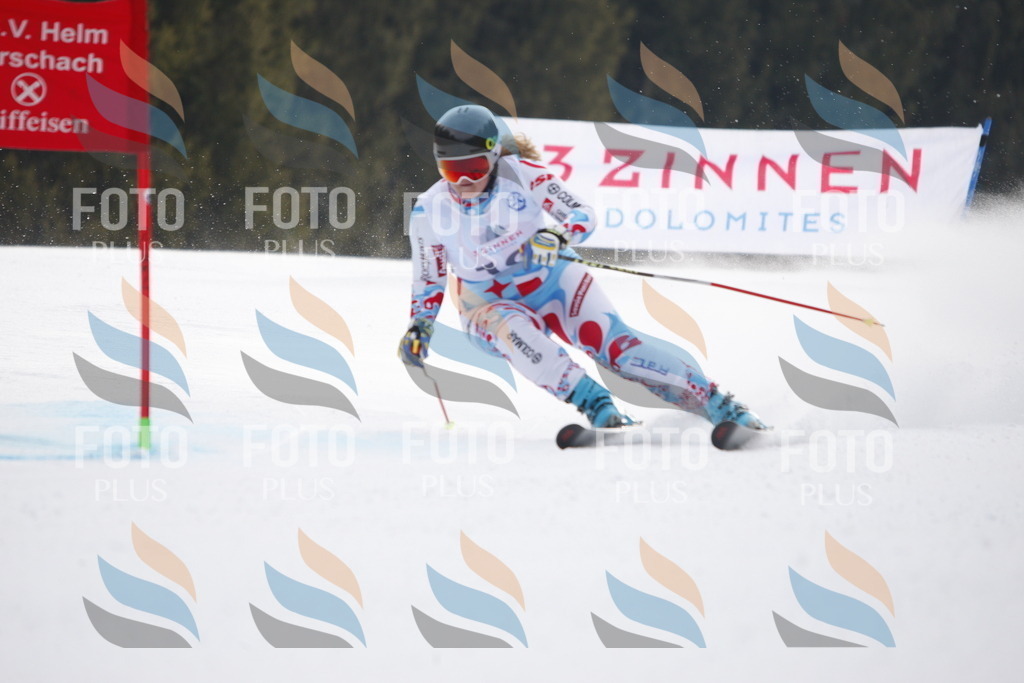 D4709 | holidayphoto