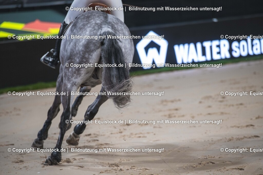 20251113_Impressionen_TOMSPIC_0002 | Foto: Thomas Hartig