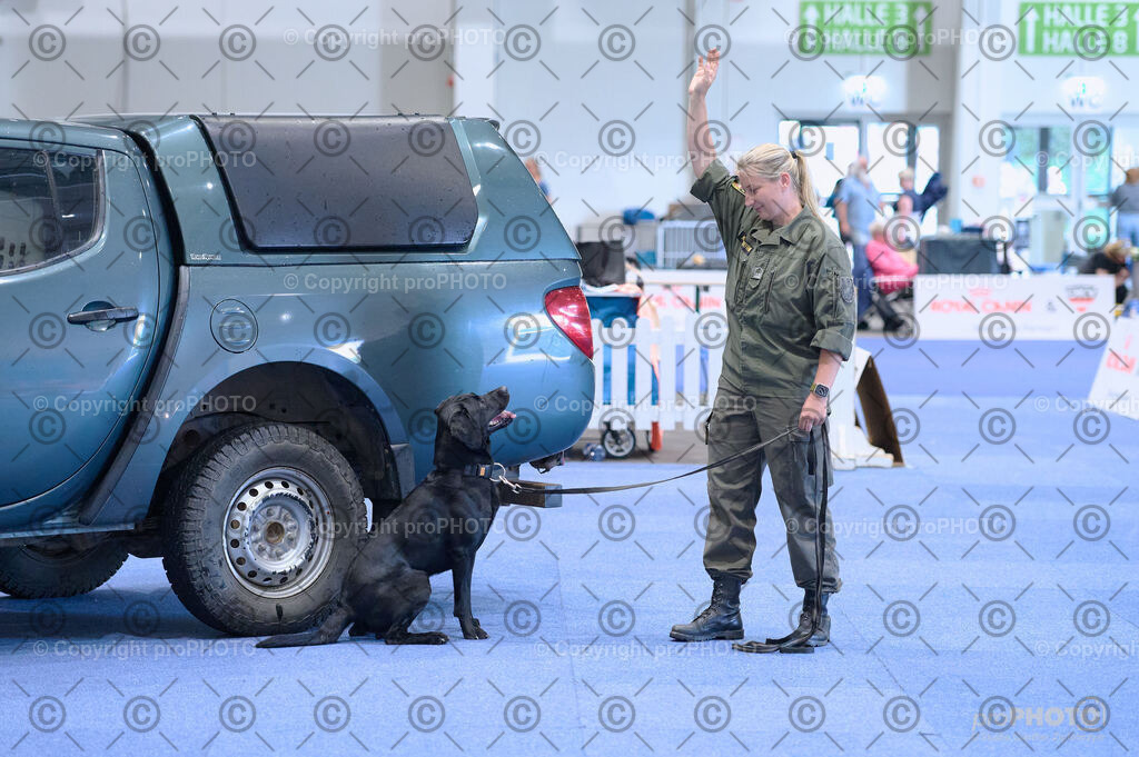 202406_ÖKV-IHA-Tulln24_DSC_2757 | proPHOTO - Realisiert mit Pictrs.com