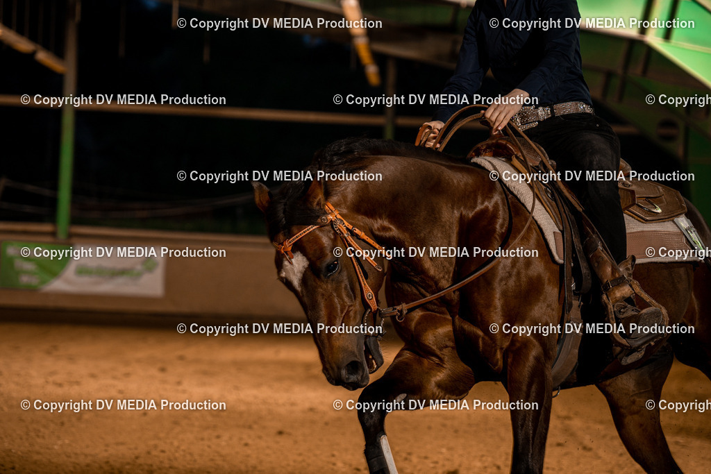 BA301457 | dv-media-shop - Realisiert mit Pictrs.com