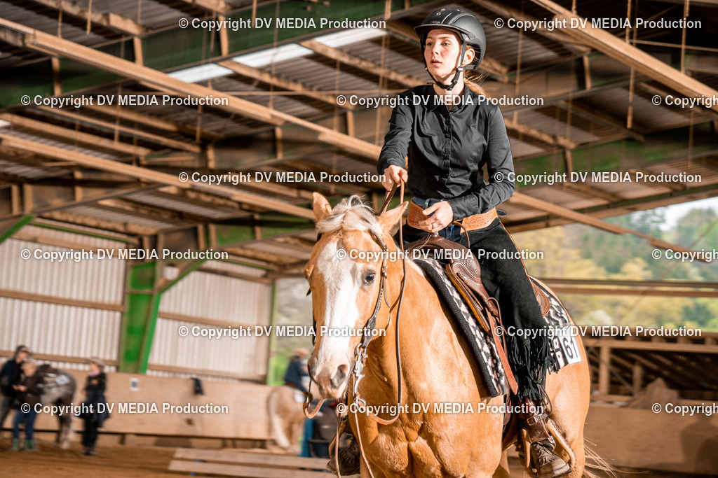 BA400275 | dv-media-shop - Realisiert mit Pictrs.com