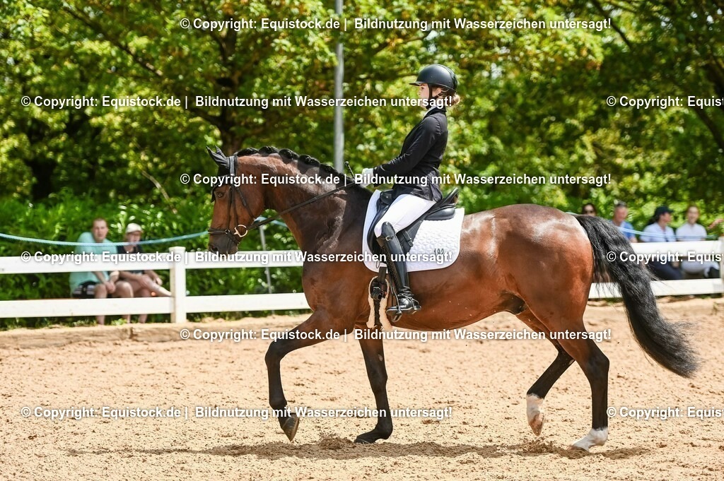 20230716_03_Dressurprfg. Kl.L - Tr._0452 | equistock