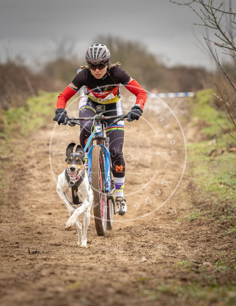 DV3A0648 | Hundefotografie, Tierfotograf, Pfotenfotografie, Fotoshooting Hund, Hunde Portrait, Hundesport, Hundeportraits, Heideshooting, Hunde, Sportfotograf, Hundefotograf, Turnierhundsport, THS,  - Realisiert mit Pictrs.com