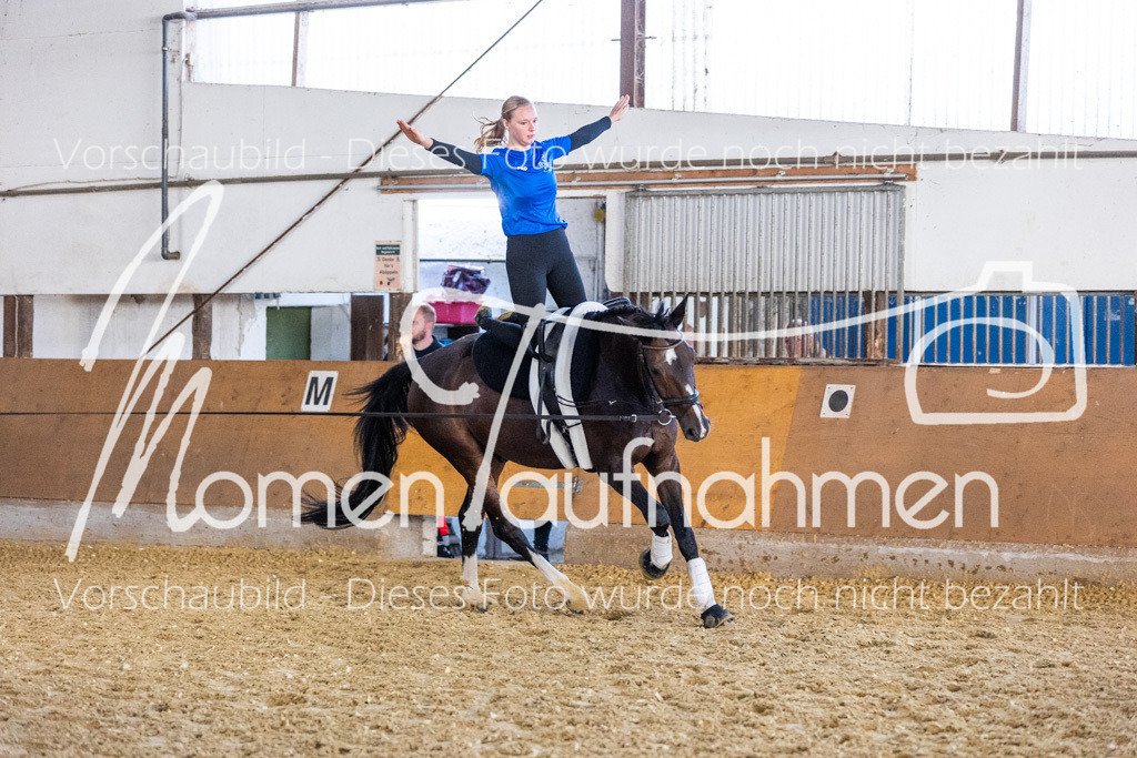 VTD-Voltigierpferde-046 | MomenTaufnahmen Pferdesportfotos