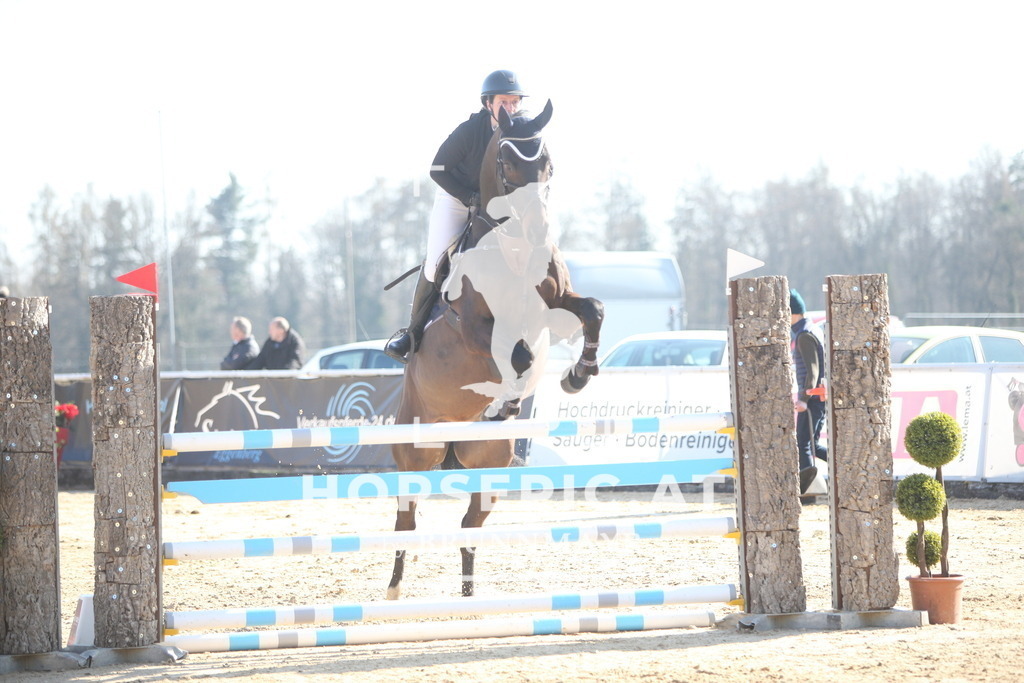 AS8V5277 | Willkommen bei Brunnmayr - Design & Fotografie – Ihrem Spezialisten für Reitturniere und Pferdeveranstaltungen in Oberösterreich, Salzburg und Bayern! Seit über 17 Jahren sind wir leidenschaftlich dabei.