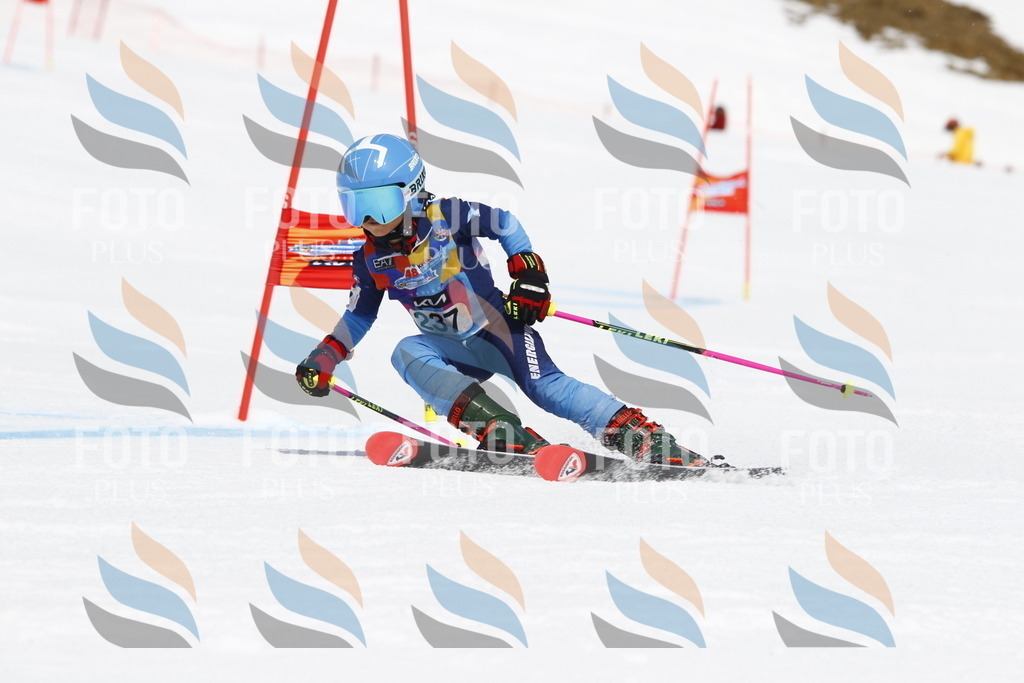 _U3G6041 | holidayphoto