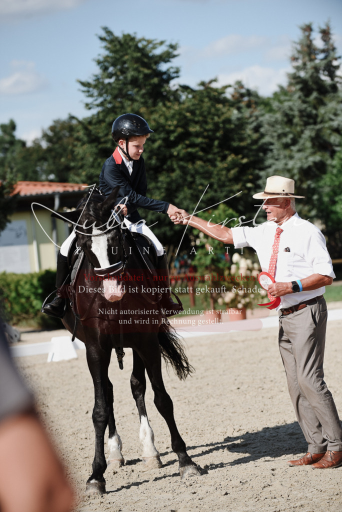 DSC_0208 | Pferde- und Turnierfotografie in Westsachsen. Pferdeportraits, Auftragszeichnungen und intuitive Kunst.
