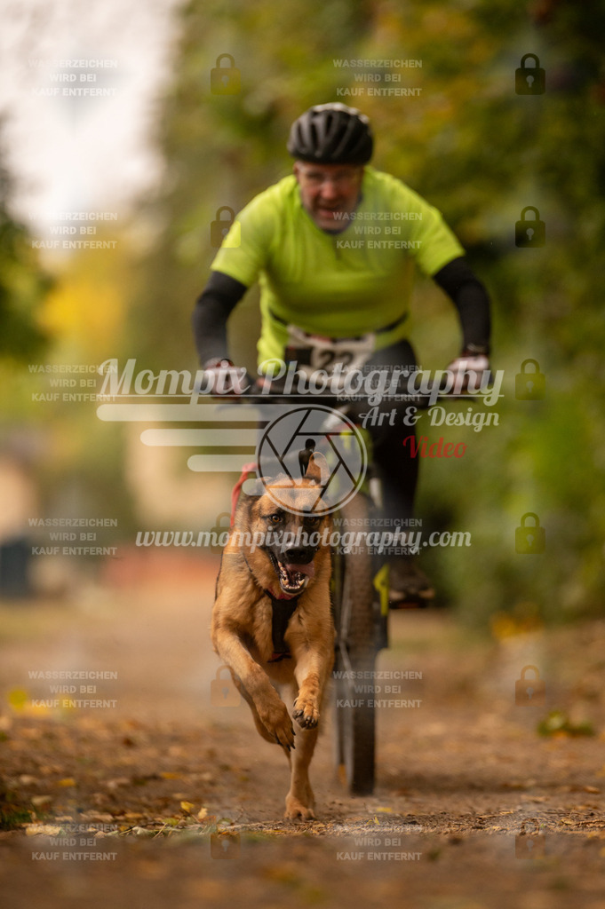CDLBDB_14_10_2023_Samedi-218 | PayLife