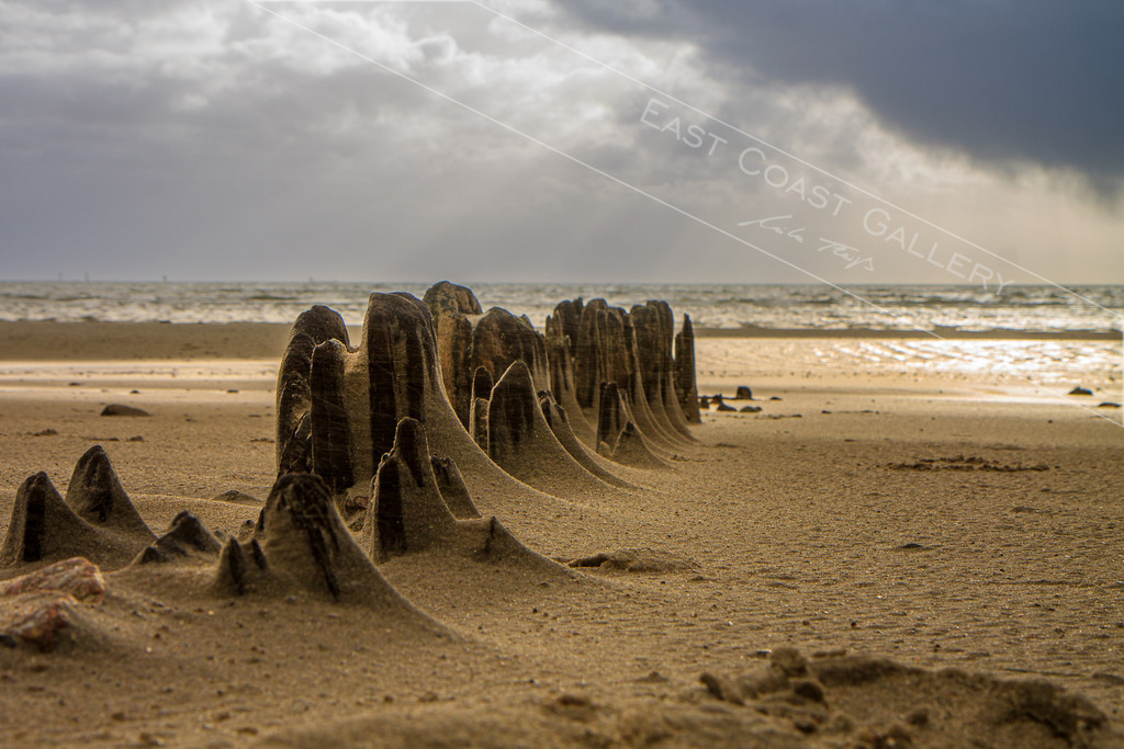 Desert Coast | EastCoastGallery - Realisiert mit Pictrs.com