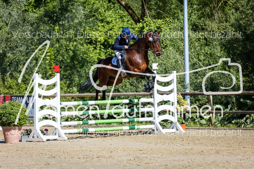 Donop24-A2Spr-073 | MomenTaufnahmen Pferdesportfotos