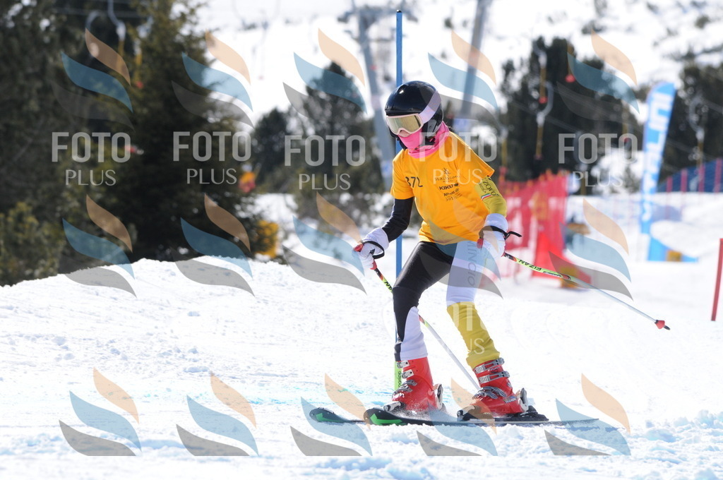 C8925 | holidayphoto