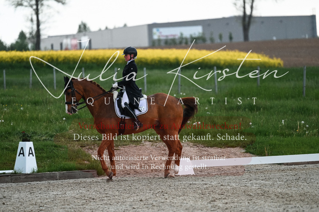 20230514_JK-Röhrsdorf-21-650 | Pferde- und Turnierfotografie in Westsachsen. Pferdeportraits, Auftragszeichnungen und intuitive Kunst.