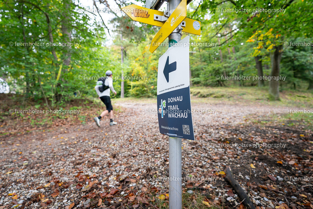 _fuernholzer_241005-C3-287 | © Christian Fuernholzer | fuernholzer photography