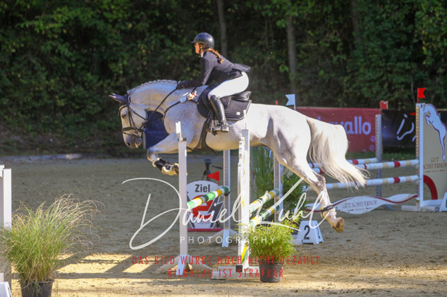 DKP42879 | Turniersportfotografie; Pferdefotografie; Dressurfotografie