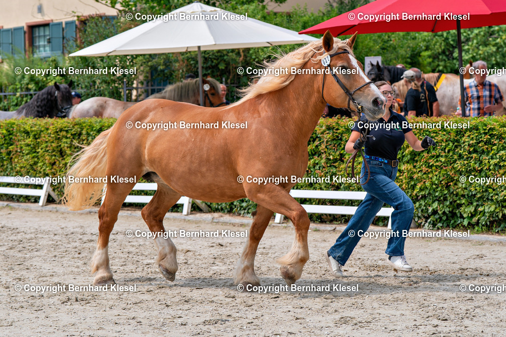 2A901320 | foto-team-bernhard - Realisiert mit Pictrs.com