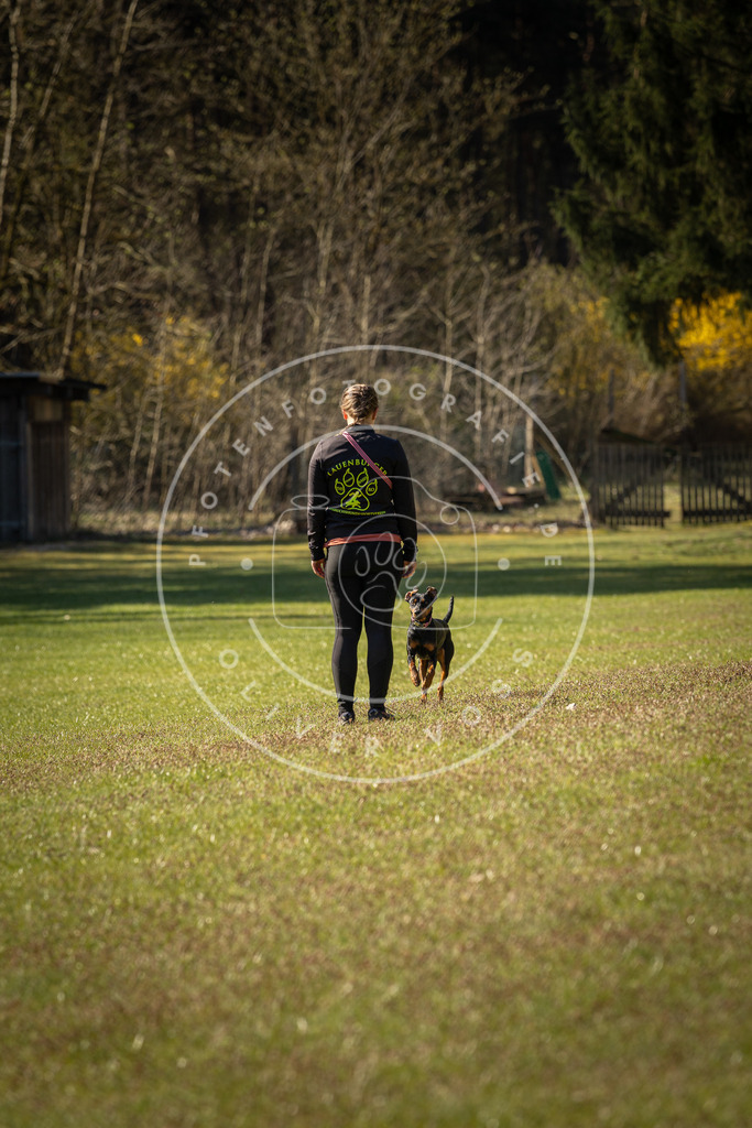 Pfotenfotografie_DV3A0300 | Hundefotografie, Tierfotograf, Pfotenfotografie, Fotoshooting Hund, Hunde Portrait, Hundesport, Hundeportraits, Heideshooting, Hunde, Sportfotograf, Hundefotograf, Turnierhundsport, THS,  - Realisiert mit Pictrs.com