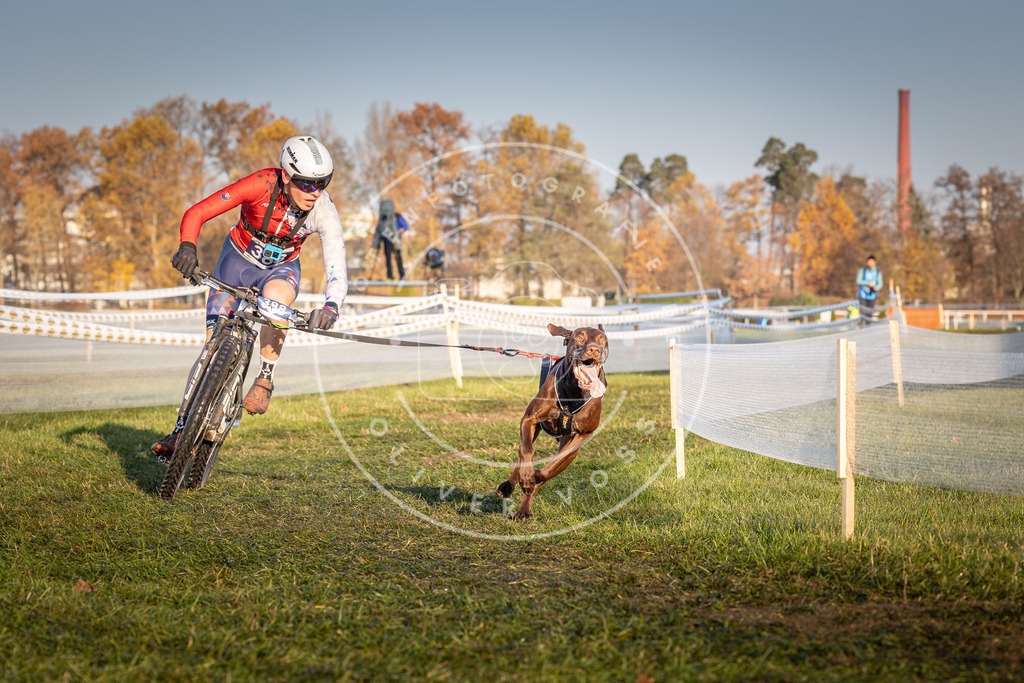 CaniXpix_0L8A3819 | Hundefotografie, Tierfotograf, Pfotenfotografie, Fotoshooting Hund, Hunde Portrait, Hundesport, Hundeportraits, Heideshooting, Hunde, Sportfotograf, Hundefotograf, Turnierhundsport, THS,  - Realisiert mit Pictrs.com