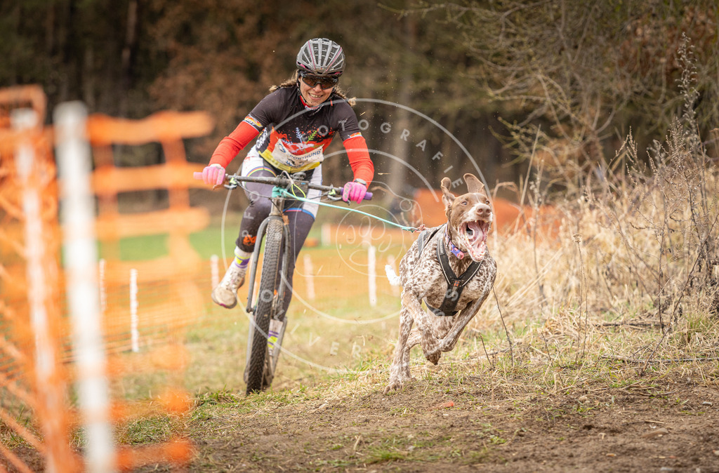 DV3A1337 | Hundefotografie, Tierfotograf, Pfotenfotografie, Fotoshooting Hund, Hunde Portrait, Hundesport, Hundeportraits, Heideshooting, Hunde, Sportfotograf, Hundefotograf, Turnierhundsport, THS,  - Realisiert mit Pictrs.com