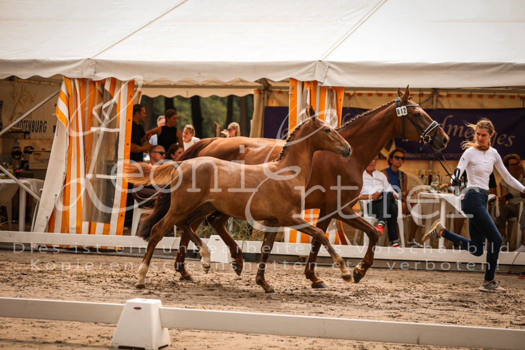 SaPA00174 | Leoni Ertmer Photography - Realisiert mit Pictrs.com