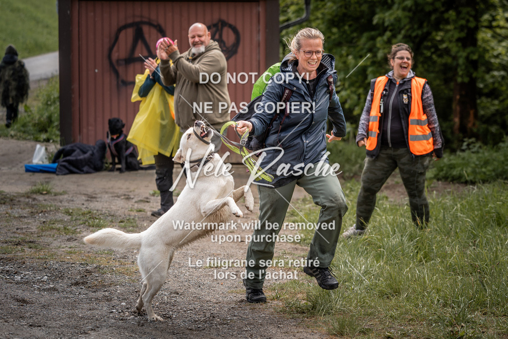 nelerasche_SoZieleinlauf_513 | nelerasche