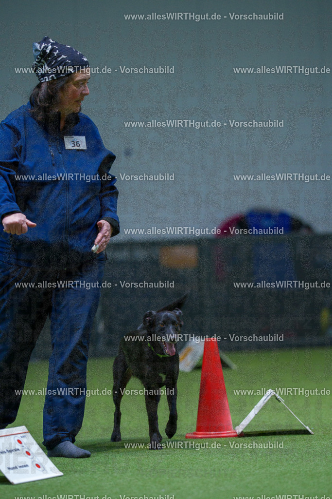 7R505976 | Professionelle Tierfotografie in Mönchengladbach von Daniel Wirth (allesWIRTHgut). Liebevolle & natürliche Bilder von Hunden & Katzen für unvergessliche Erinnerungen.