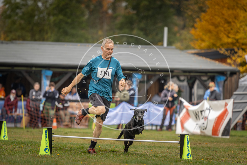 Pfotenfotografie_DV3A1890 | Hundefotografie, Tierfotograf, Pfotenfotografie, Fotoshooting Hund, Hunde Portrait, Hundesport, Hundeportraits, Heideshooting, Hunde, Sportfotograf, Hundefotograf, Turnierhundsport, THS,  - Realisiert mit Pictrs.com