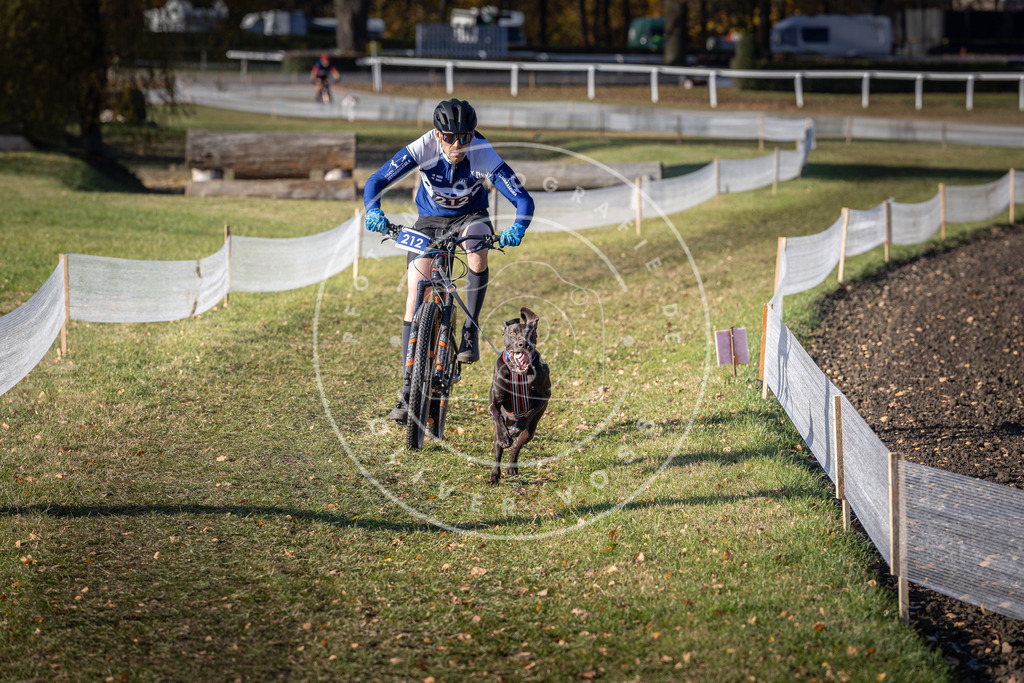 CaniXpix_DV3A3139 | Hundefotografie, Tierfotograf, Pfotenfotografie, Fotoshooting Hund, Hunde Portrait, Hundesport, Hundeportraits, Heideshooting, Hunde, Sportfotograf, Hundefotograf, Turnierhundsport, THS,  - Realisiert mit Pictrs.com