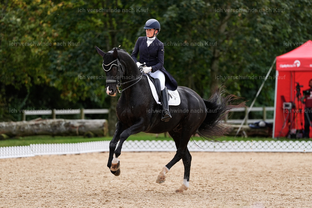 11-042-Dressur S___-StoibPH-1192 | working equitationturnier fotograf videograf stoibphotography marixx film working equitation deutschland reitsport turnierfotografie eventfotografie equestrian events