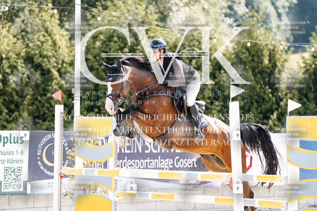 CK908353 | Turnierfotografie Pferdefotografie Trier Rheinland-Pfalz Pferdesport Reitsport Tierfotografie Sportfotografie Pferdevideo Pferdevideografie Equestrianvideography equestrianphotography  - Realisiert mit Pictrs.com