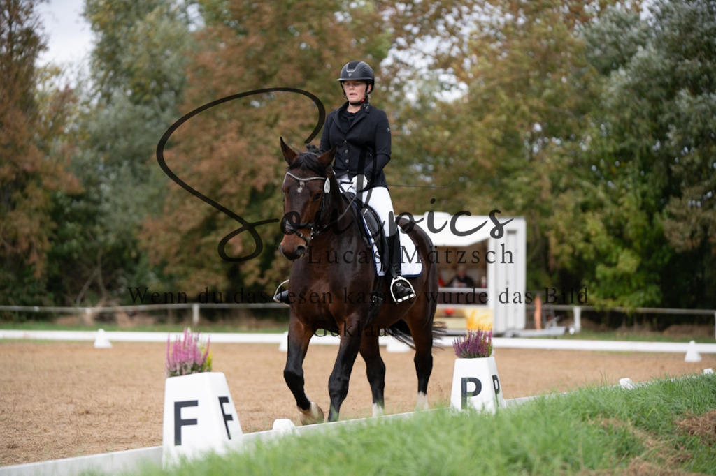 A7V05239 | Pferdefotograf