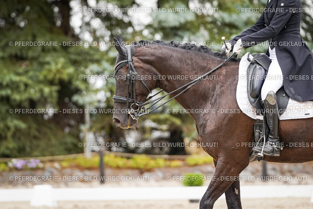 DSC07079 | Pferdegrafie