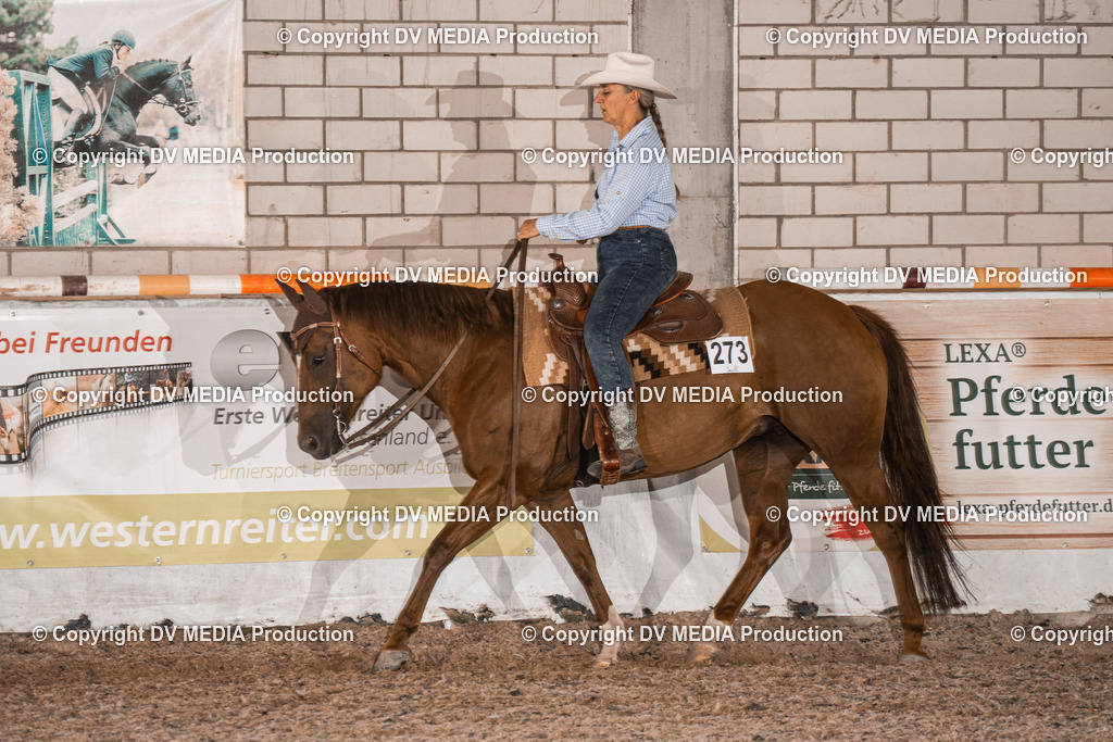 ZH101012 | dv-media-shop - Realisiert mit Pictrs.com