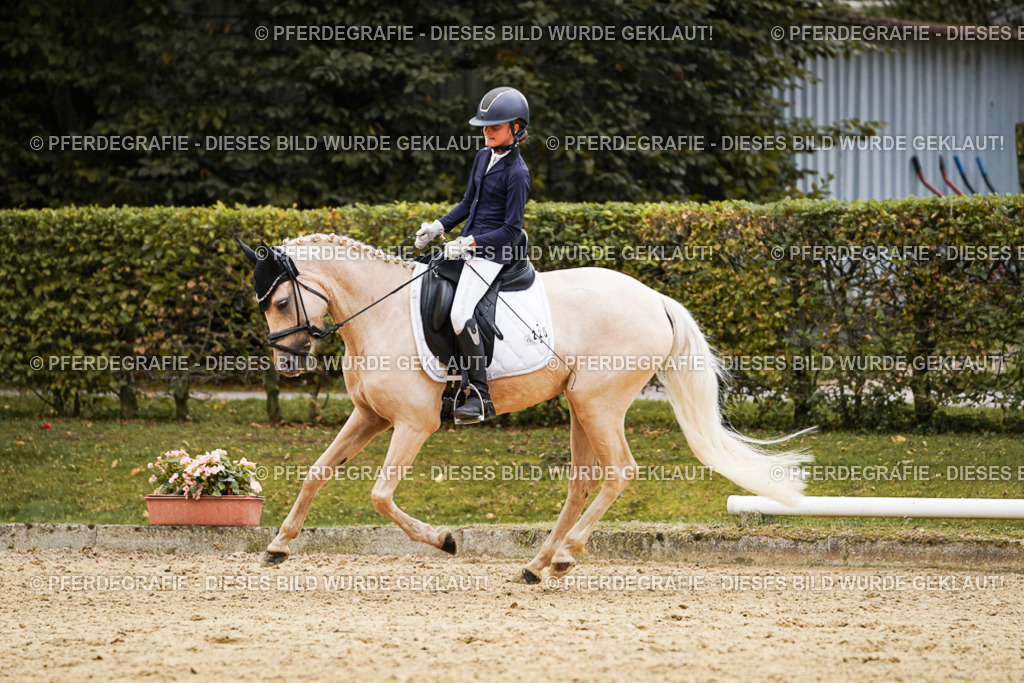 DSC00542 | Pferdegrafie