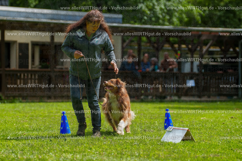 @allesWIRTHgut_Tierfotografie - www.allesWIRTHgut.de - 7R500829 | Professionelle Tierfotografie in Mönchengladbach von Daniel Wirth (allesWIRTHgut). Liebevolle & natürliche Bilder von Hunden & Katzen für unvergessliche Erinnerungen.