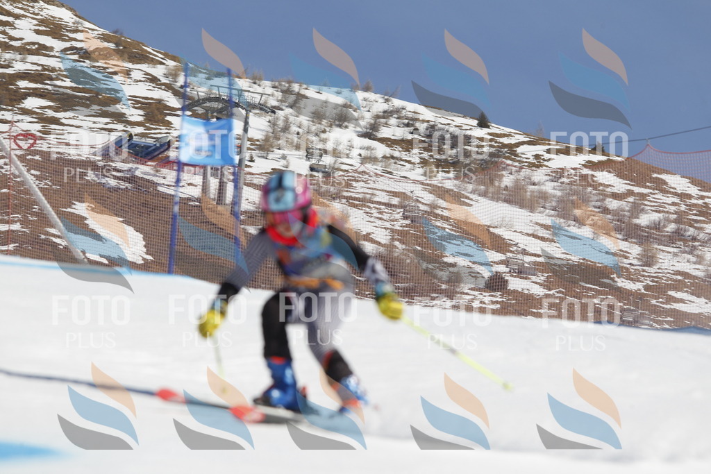 _U3G8964 | holidayphoto