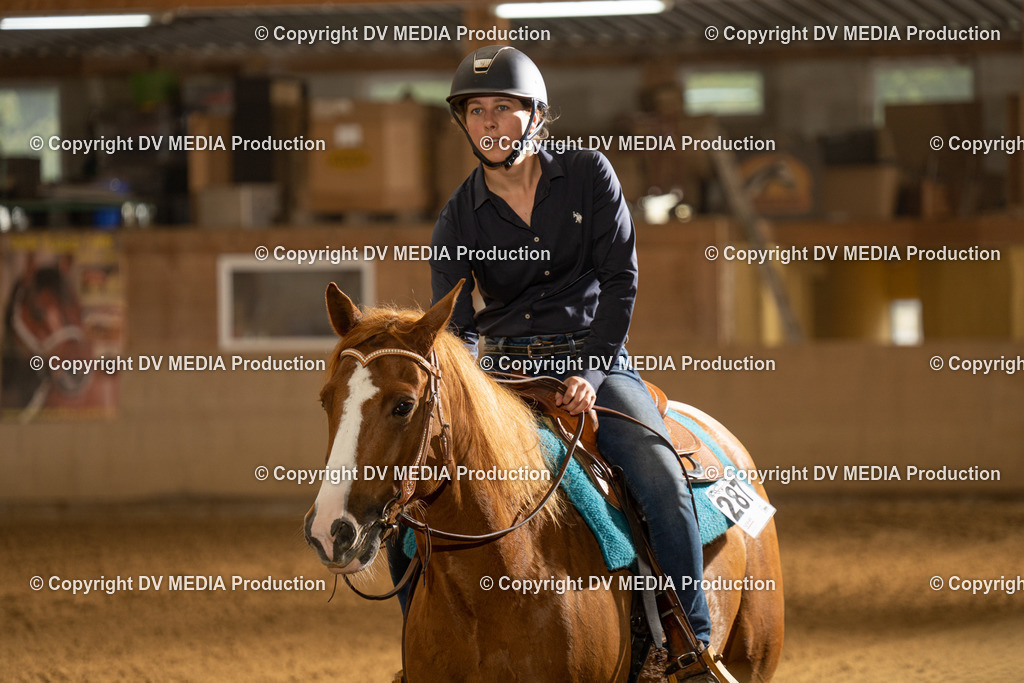 LAU00599 | dv-media-shop - Realisiert mit Pictrs.com