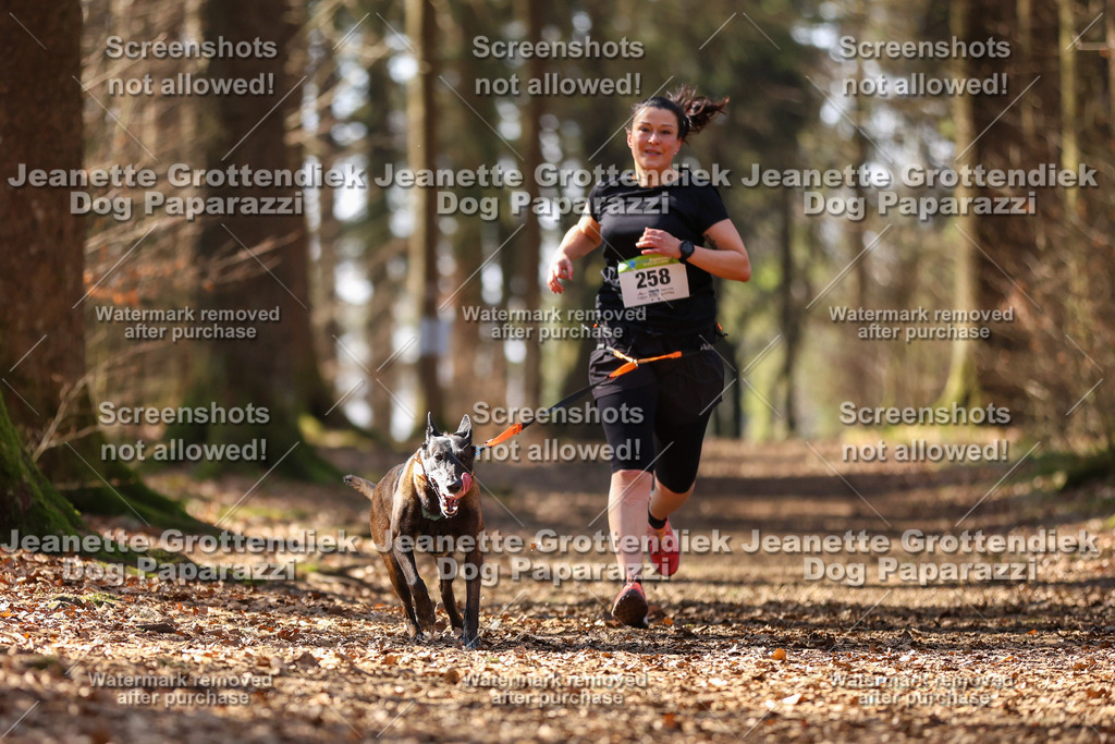 Dog Paparazzi - VCC26-1202 | Dog Paparazzi Jeanette Grottendiek Fotografie & Videografie - Realisiert mit Pictrs.com