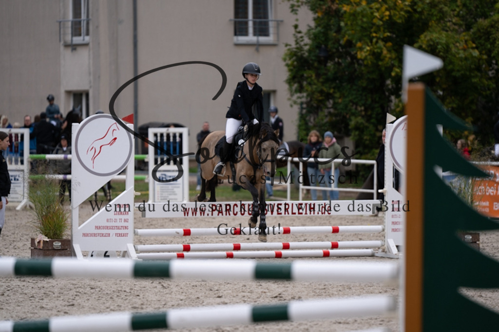 A7V09492 | Pferdefotograf