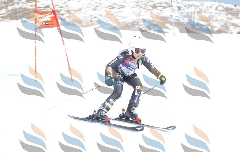 _U3G2922 | holidayphoto