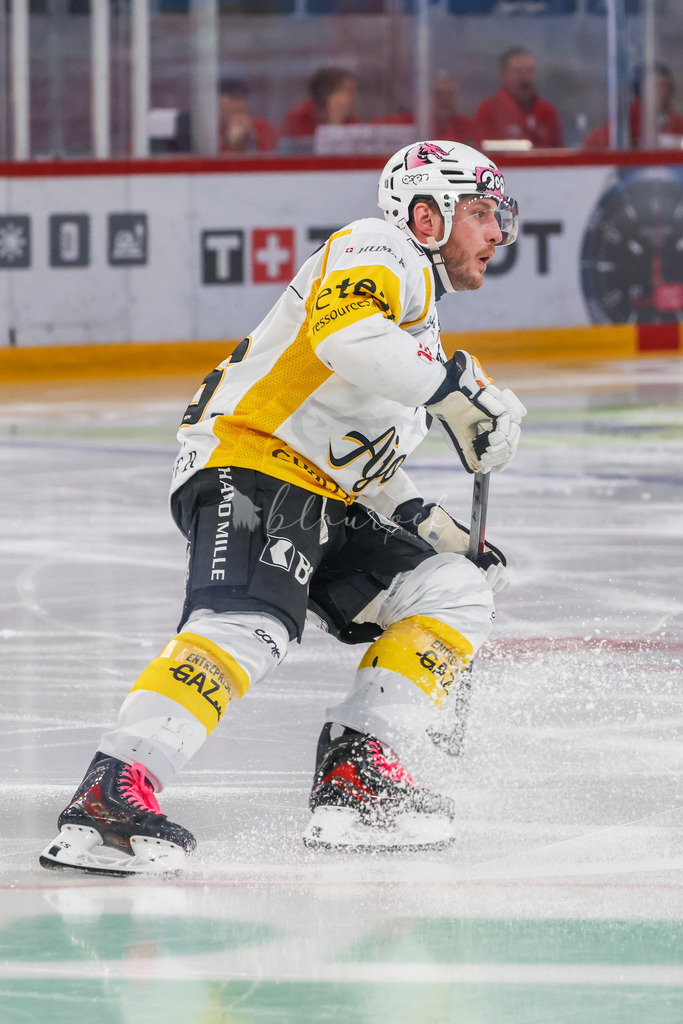 EHCB vs HCA 20260127_wb-9148 | Sportbilder, Sportfotograf, Hochzeits- und Eventfotografin, Flugshows, Portraits und Tiershooting, Aviation, Downhill, Nationalleague, Swissleague, International