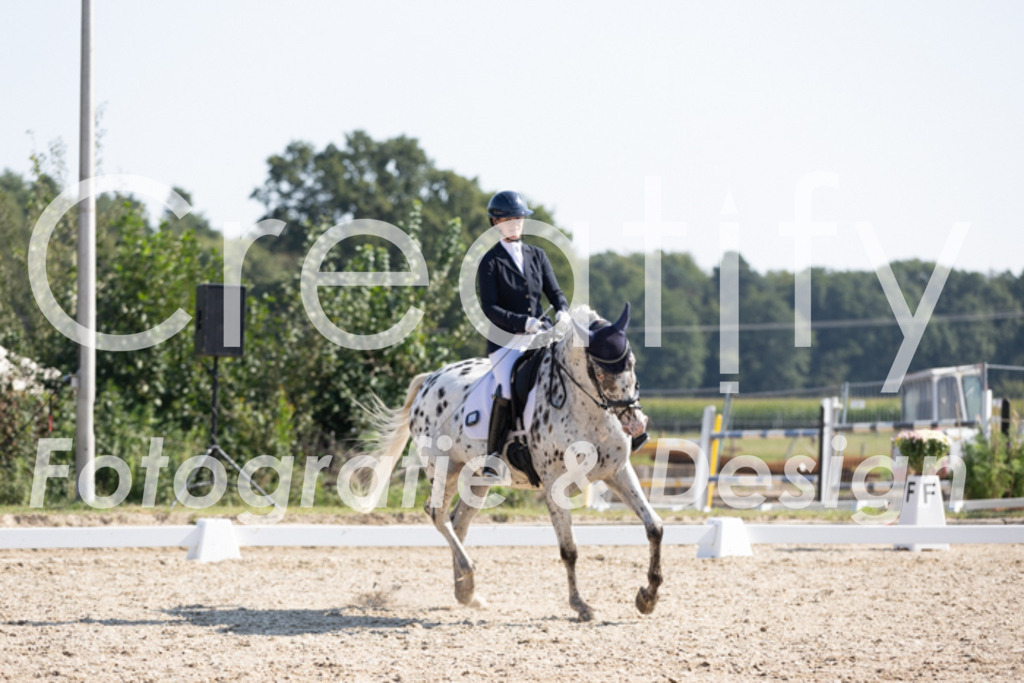 IMG_4625 | Creatify Fotografie