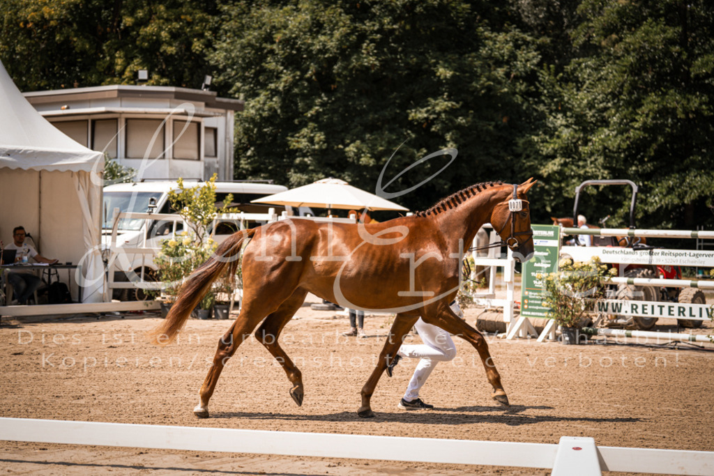 1.Fr00045 | Leoni Ertmer Photography - Realisiert mit Pictrs.com