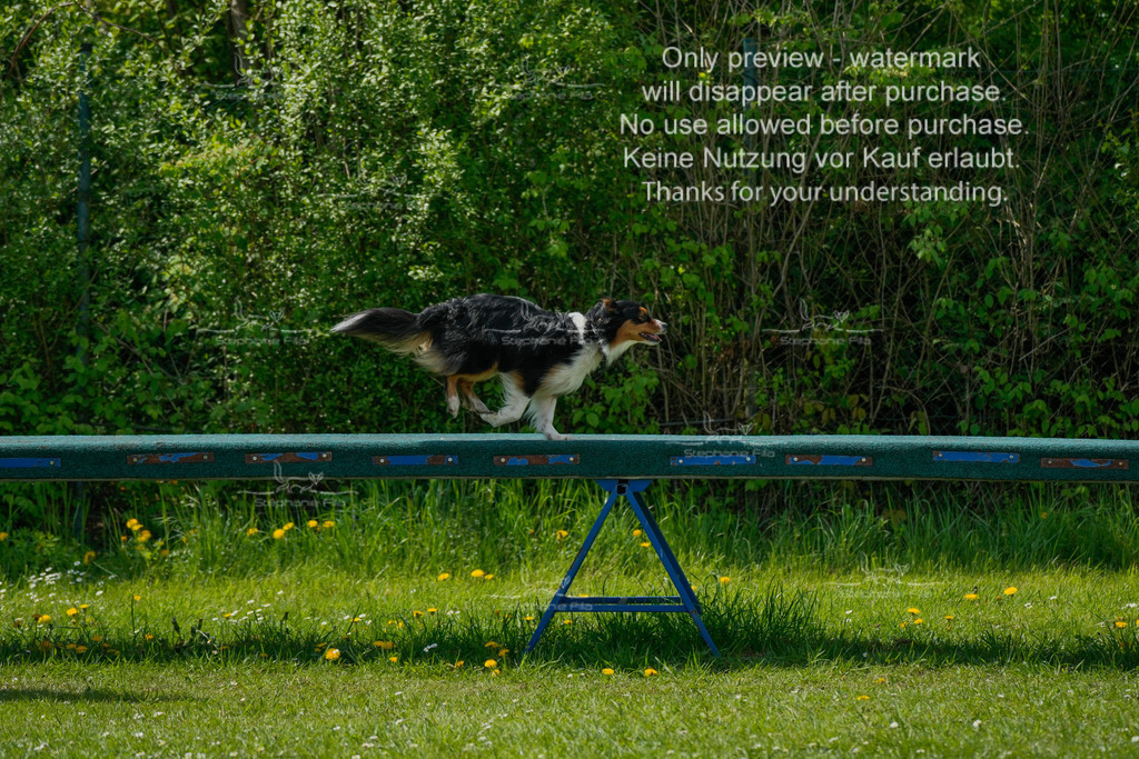 Sa_Laeufe_VK1und2_03-16 | stephaniefillaphotographie - Realisiert mit Pictrs.com