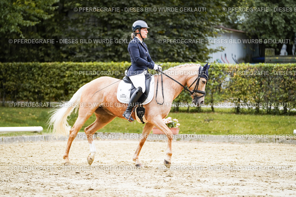 DSC08965 | Pferdegrafie